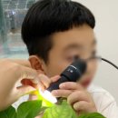페리마법의방 이미지