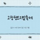 정순농장 | 고창청보리밭축제 기간 입장료 (+ 주차장, 맛집 팁 )