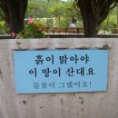 도원초등학교 이미지