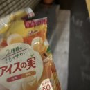 [오사카 D+40~42] 물멍
