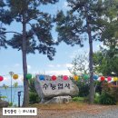 불설장수멸죄호제동자다라니경 | [공지] 부산 가볼만한곳, 수능엄사에서는 마음도 경건해져요