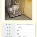 오독오독 이미지