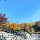 아카시아펜션 | 펜션 추천! 김천 금낭화타운 아카시아방 내돈내산 찐 후기 [대구근교 독채펜션, 대구근교 감성펜션...