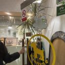 써니애견 | 힐링만땅 홍대 애견카페 써니사이드 후기