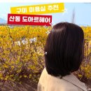 파리바게뜨 구미옥계점 | 구미산동미용실 도아르헤어 염색 한 후기 분위기 확 바뀐 컬러로 봄맞이