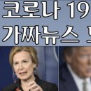 박디 이미지