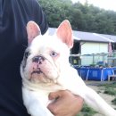 벨라켄넬 이미지