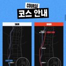 보은공설운동장 | 2025 보은 강철공무원 런페스타 10km 마라톤 완주 후기