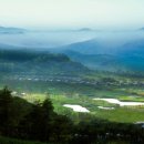 알펜시아 컨트리클럽 이미지