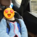 대암팜트리