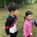 하늘숲유치원 이미지