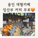 아리랑 | 아리랑도원 후기｜용인 대형카페, 용인 아기랑카페 찾는다면 꼭 가보세요