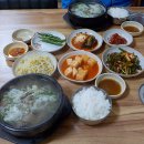 시골소머리1 티스토리