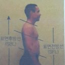 나봄 이미지