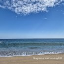 만선해변 | [강원 속초] 속초만선집 대포항점 속초횟집 대포항맛집 내돈내산 솔직후기 (feat.온더버튼 otb 고성오션...