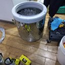 21세기우리의원 네이버블로그