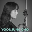 바이올린 (A) 이미지