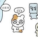 화진포막국수 이미지