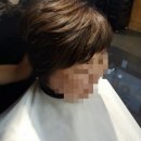 라보떼헤어샵 이미지