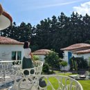 슈테른헤어 | 서귀포 숙소 독채 감성펜션 2인 커플 추천 발트하우스