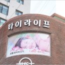 수타이 이미지