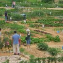 가족농장 이미지