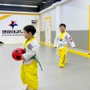 연포태권도장 이미지