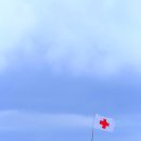 우리 Daum카페
