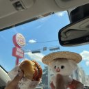 벨라유나 이미지