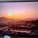 디저트39구리