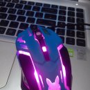 예쁘다 개 이미지