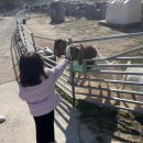 채원목장 이미지