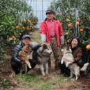 경천농원 이미지