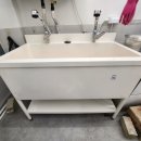 멍토피아 강아지분양 인천 본점 이미지