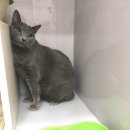 스칸디동물병원 이미지