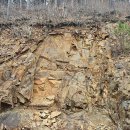 국립남해편백자연휴양림 이미지