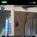 (유)지우투어