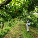 전북대학교 식물방역대학원 이미지