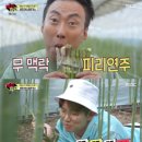 광희 농가 이미지