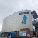 (사)서곡생태마을 | 울산 장생포 고래박물관 + 고래생태체험관 겨울 방문 후기｜해피관광카드 아이랑 실내 여행 코스 추천...