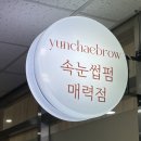 윤채브로우 | 시흥 신천역 속눈썹펌 24시간 운영 윤채브로우 블랙틴팅펌 후기