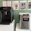 비베호디에 이미지