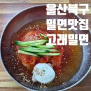 고래밀면 | 울산 북구 맛집 고래밀면 물비빔 현지인 맛집 내돈내산 방문후기