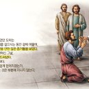 [성경인물-도마]도마처럼 보고 믿는자보다 / 보지 못하고 믿는 자들이 복이 있도다. 이미지