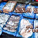 풍년꽃게 이미지