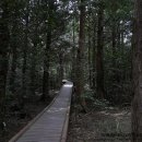 서귀포자연휴양림 이미지