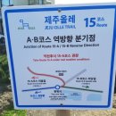 제주 올레길 15코스 B 이미지