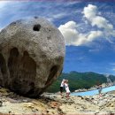 관매도(관호) 이미지