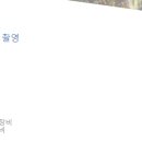 레메디 이미지