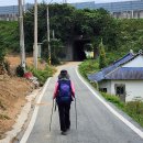고금 숭유사 Daum카페